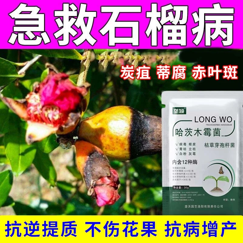 石榴病害专用肥料微生物菌剂防蒂腐病叶斑黑斑黑霉腐病专用水溶肥