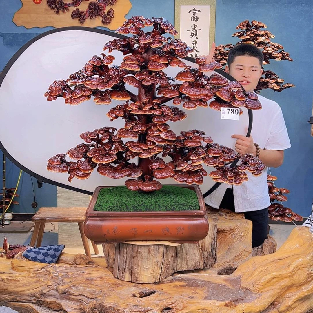 无花朵8888888888888888888888