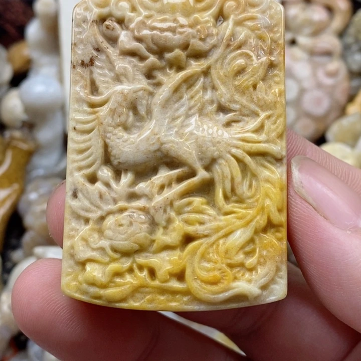 颈饰未镶嵌硅化珊瑚（珊瑚玉）有瑕