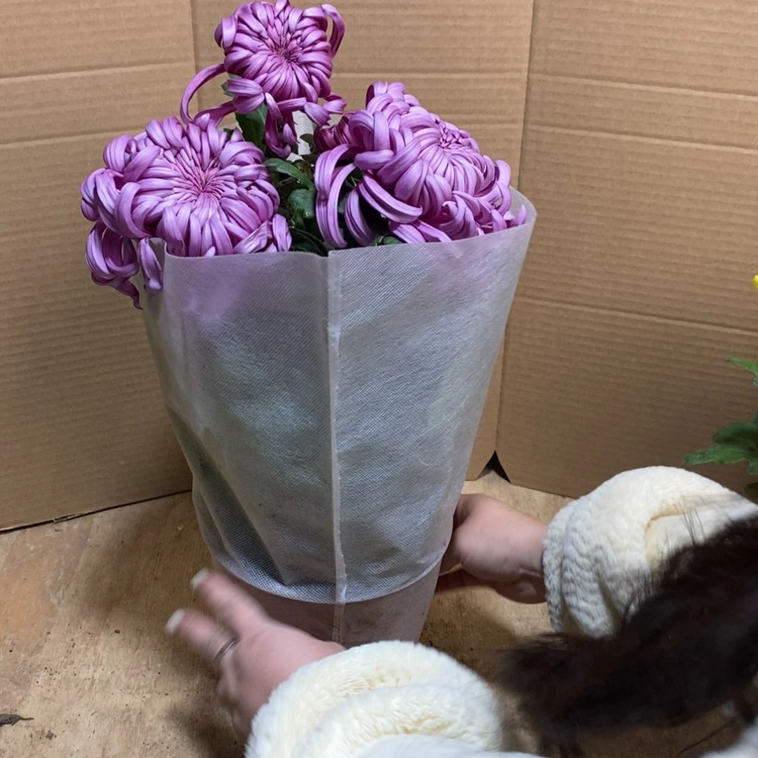 完全开放00000379