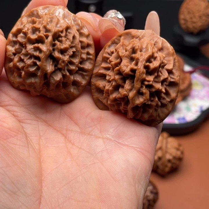 桃木秦核等人的故事也在这里