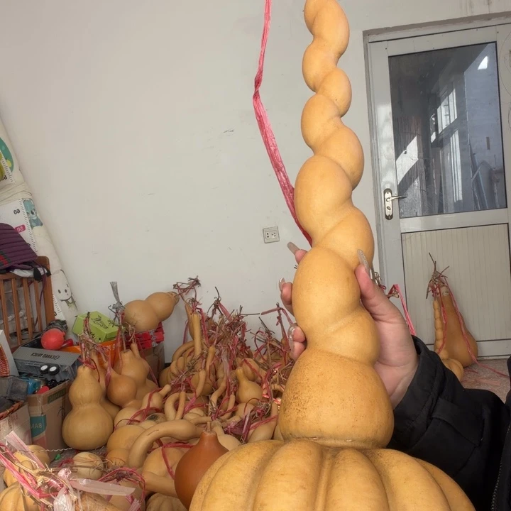 南***阁直播间价格链接专用价