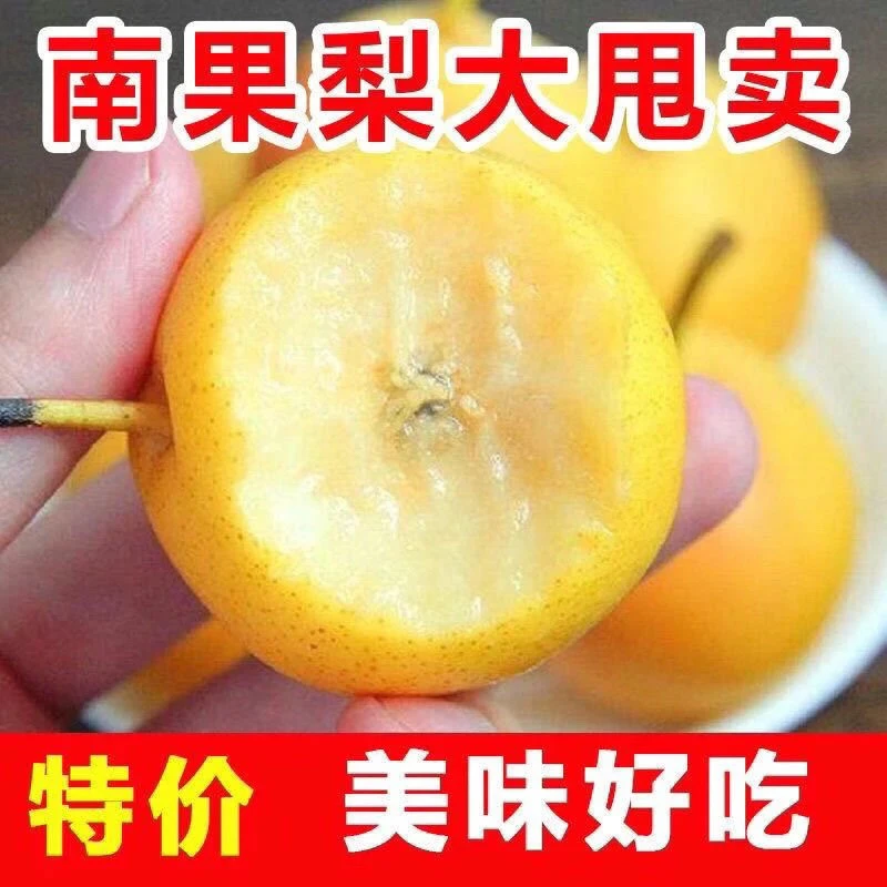 正宗东北鞍山英不落南果梨新鲜水果酸甜多汁果香浓郁