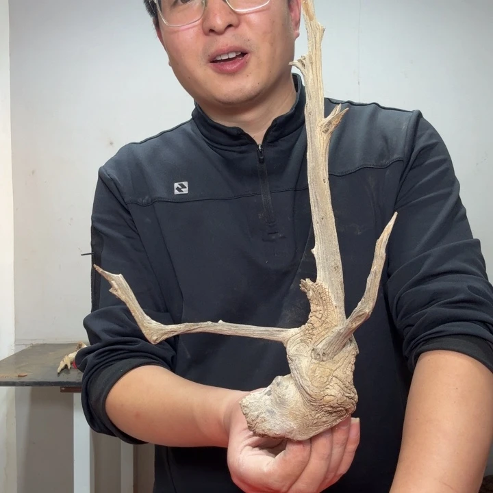 发***发香榧木工艺品精选