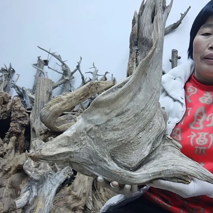 风车木（黑檀木）赵*波