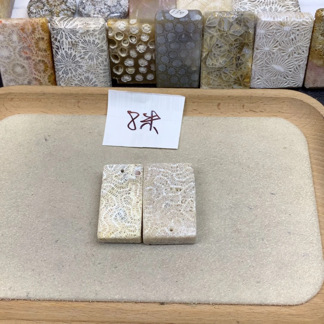 池***子未镶嵌无硅化珊瑚（珊瑚玉）