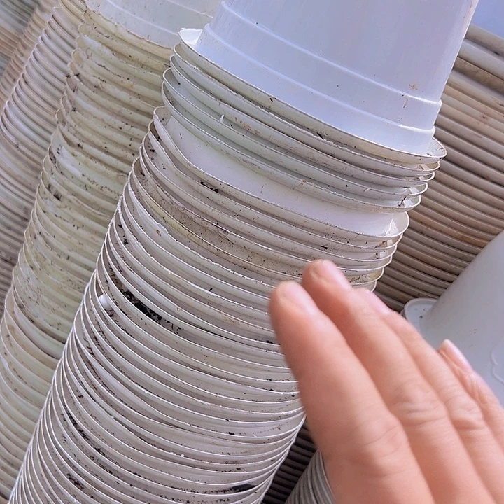 白色圆盆口径15高10.5发25个