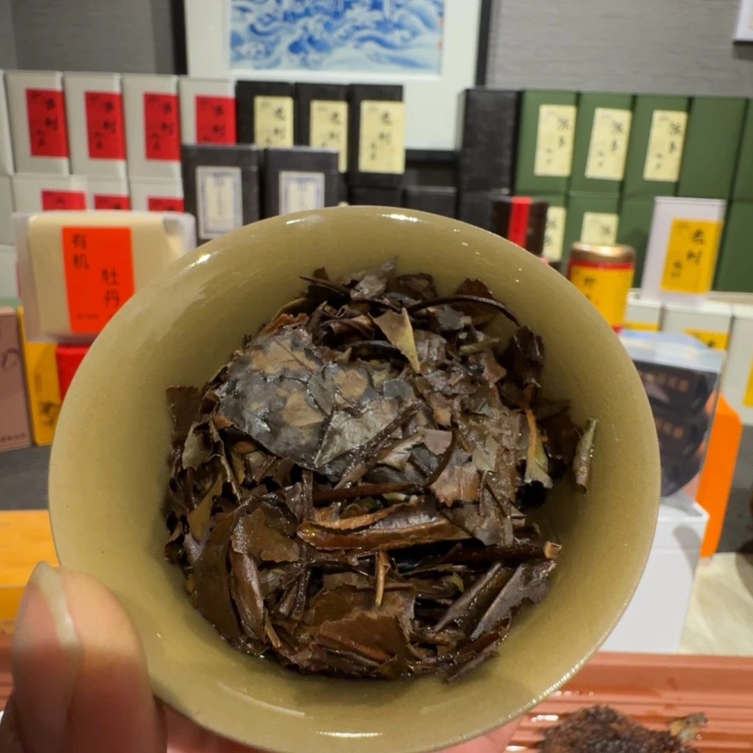 2010有机寿2010有机寿眉