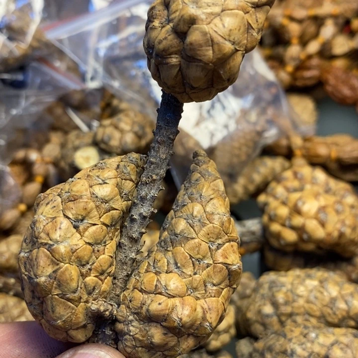 桃核吊坠拿姐工艺236
