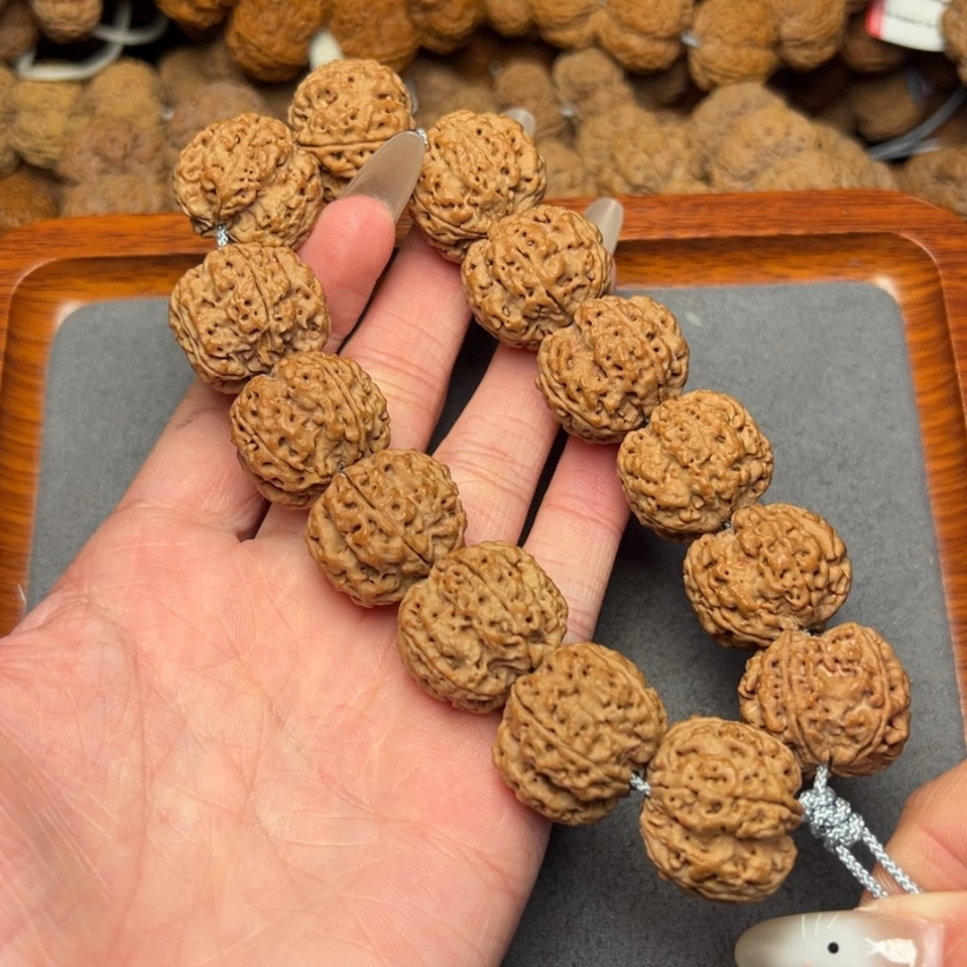 菩提21号尼泊尔大金刚22梅花豆腐块