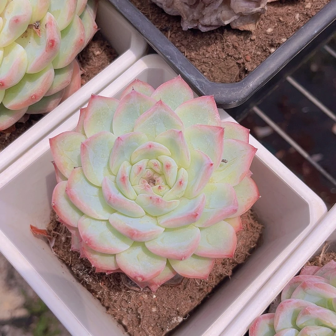 happy9999999999999999