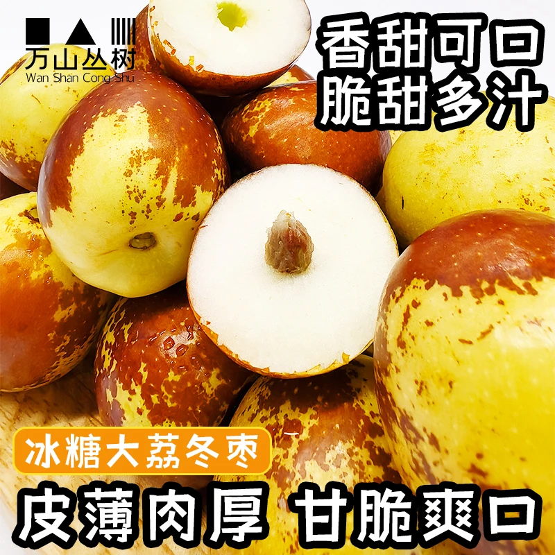 【现摘现发】陕西正宗大荔冬枣新鲜甜脆现摘果园直发应季水果