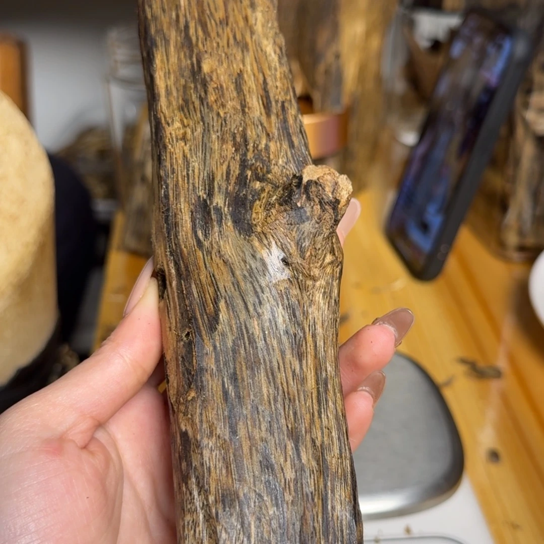 沉香白奇虫漏香110克