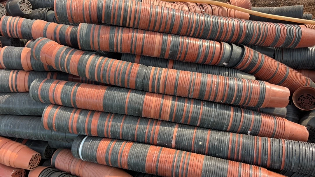 塑料旧花盆，黑红矮胖盆混发 11.5口径（50个）