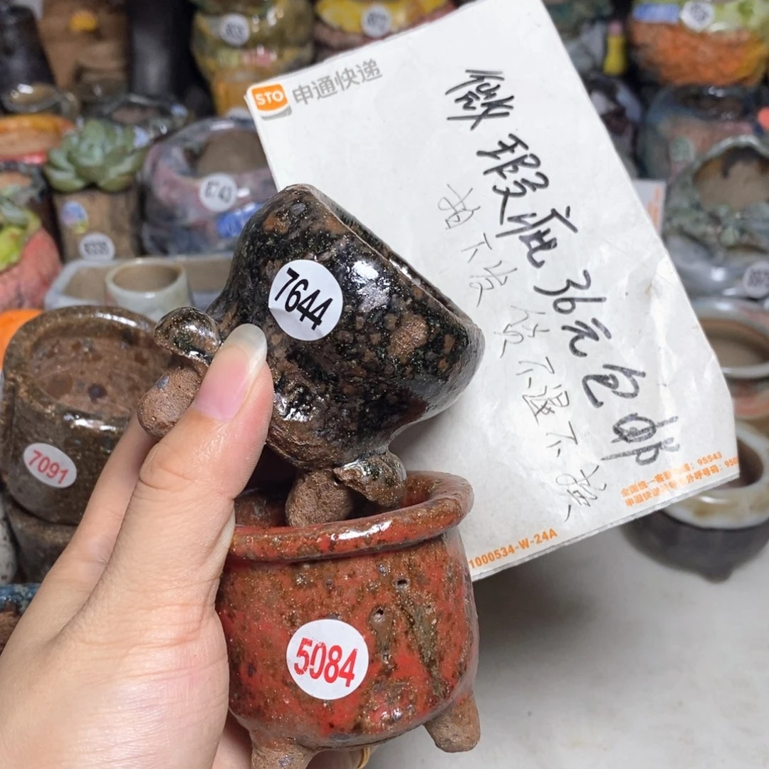 拍5送一个小礼物