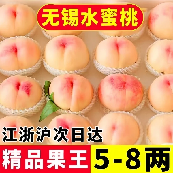 【买6送6】5-6两无锡白凤湖景软桃子放软可撕皮爆汁产地直发软硬2吃