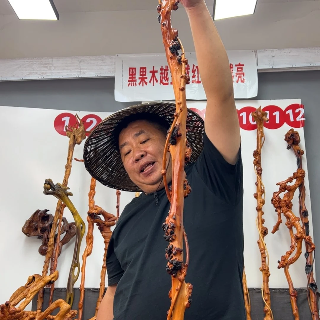 行***。黑果木其他黑果木557