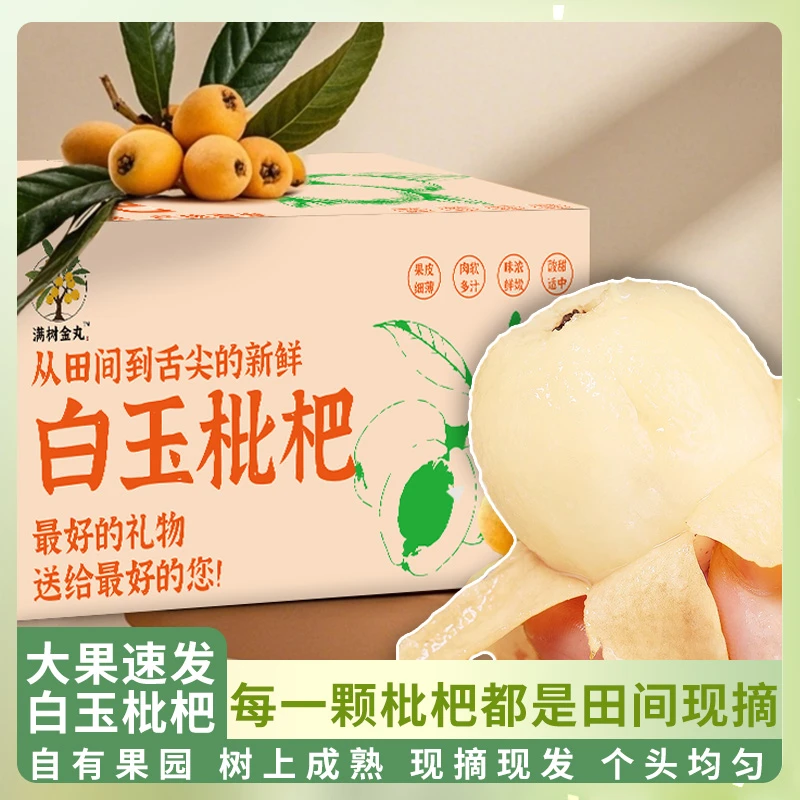 尝鲜【顺丰京东冷链空运随机发货】满树金丸正宗东山白玉枇杷产地