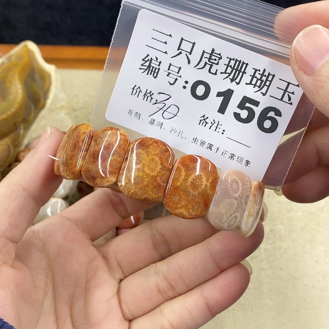 硅化珊瑚（珊瑚玉）1未镶嵌猫***鱼