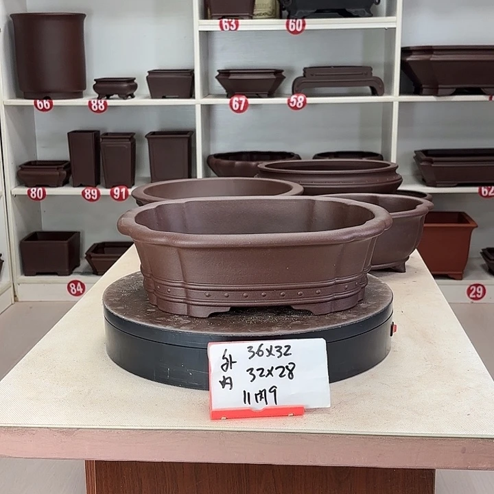 花盆紫砂双线海棠