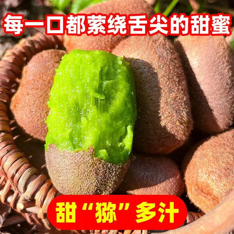 贵州修文猕猴桃30绿心奇异果当季新鲜水果正宗贵长应季孕妇水果TG