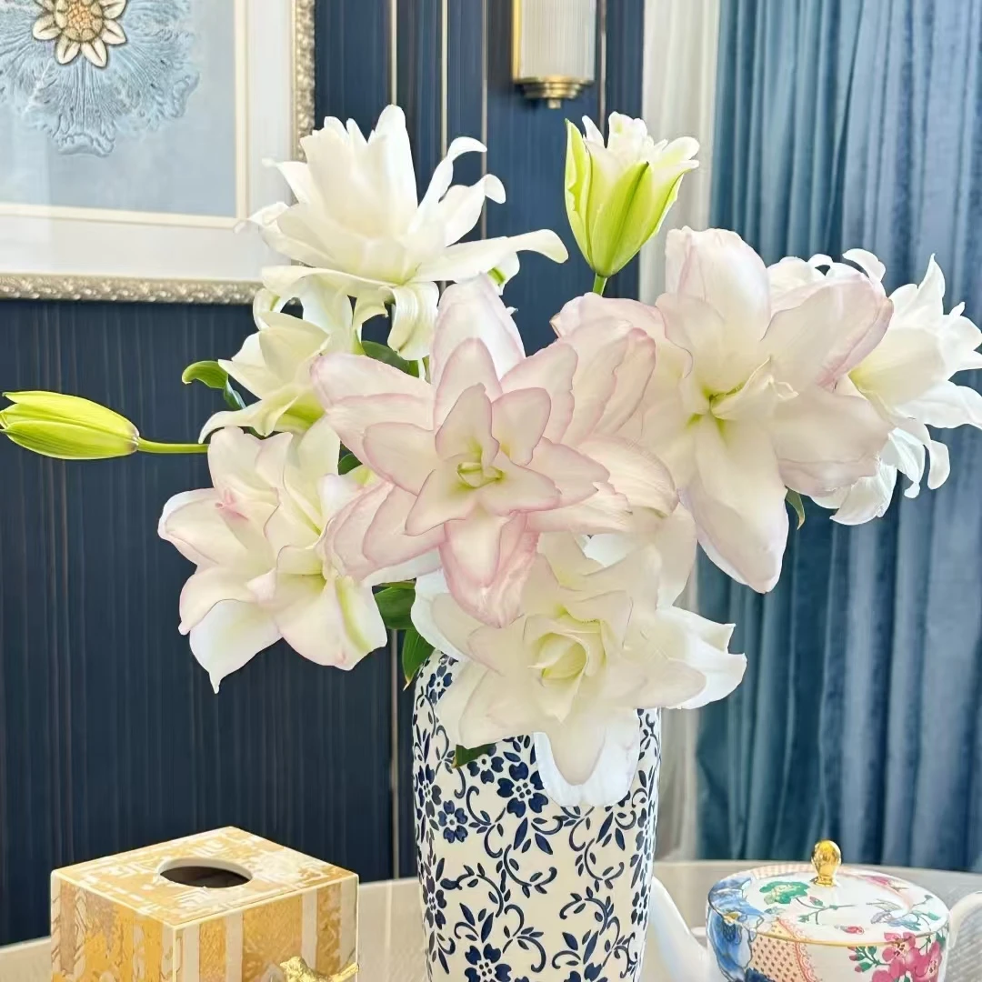 【冰美人重瓣香水百合10头】2单升级顺丰冷链/德邦空运