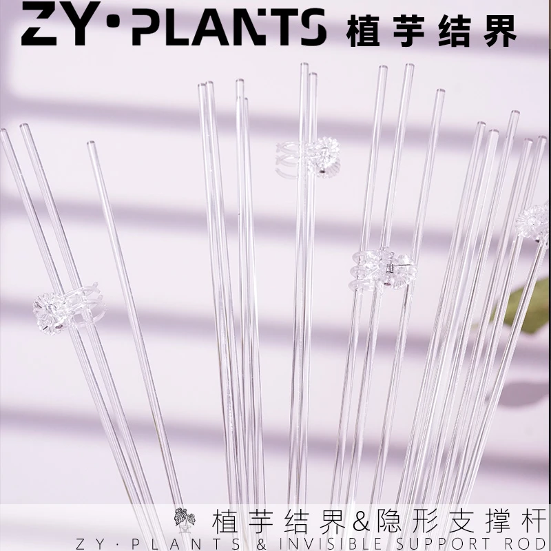 「植芋结界」隐形支撑杆彩叶芋热植支撑杆INS风桌面植物盆栽支撑