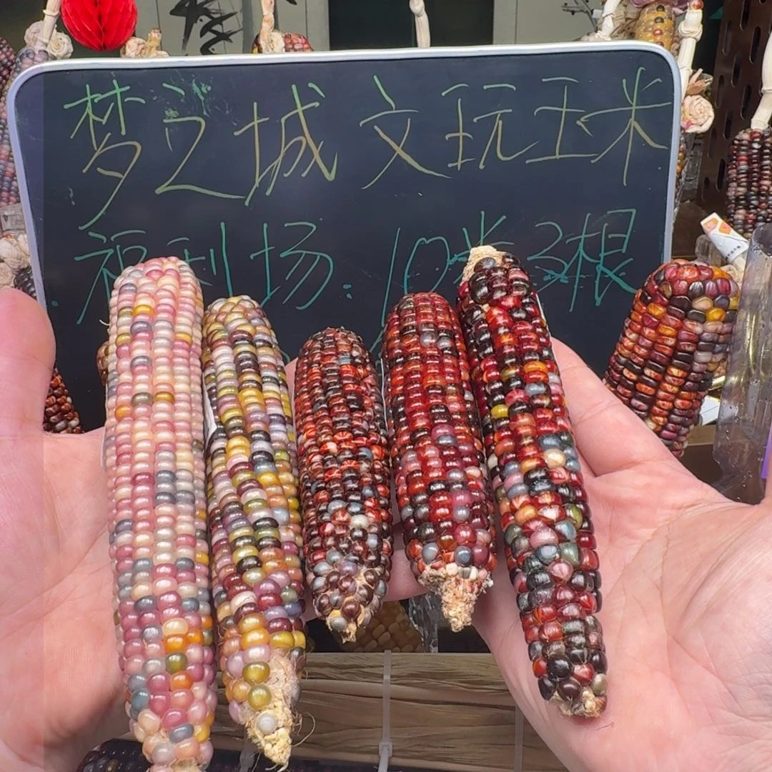 柏香籽/百香籽吊坠t**福