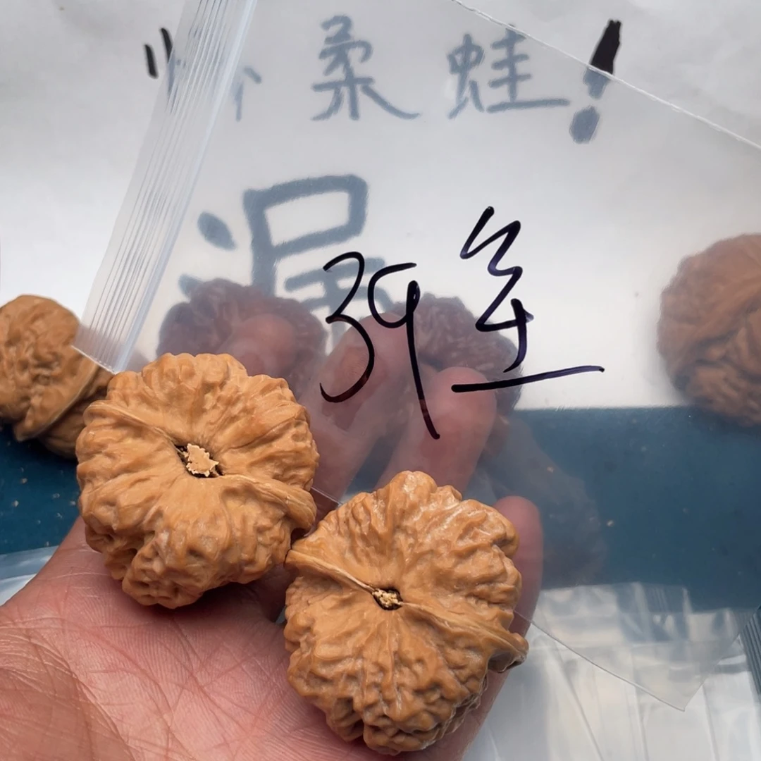 核桃735753735753537735375