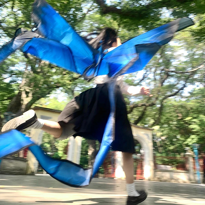 【拍照道具】蝴蝶风筝2025新款大人专用高档微风易飞野餐露营出片