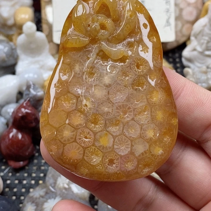 颈饰未镶嵌硅化珊瑚（珊瑚玉）