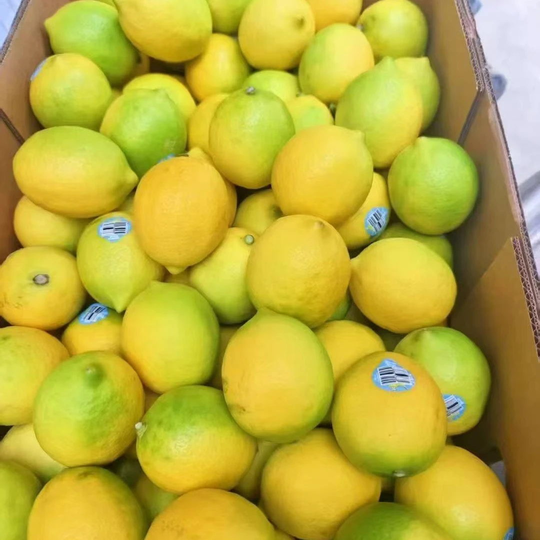 【果真不错】新骑士柠檬，果肉酸爽，皮薄汁水足600克