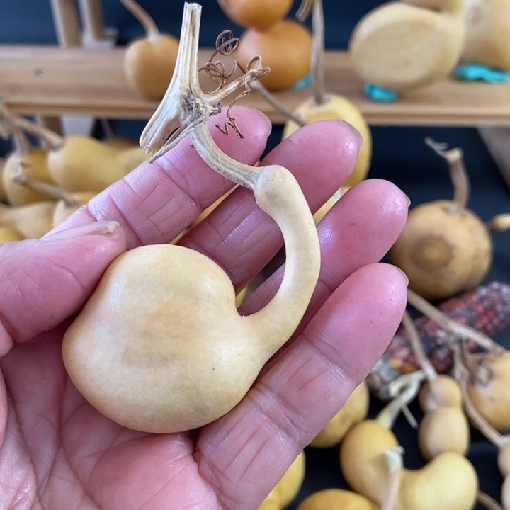 二*jxxjskwkskxkdmsws