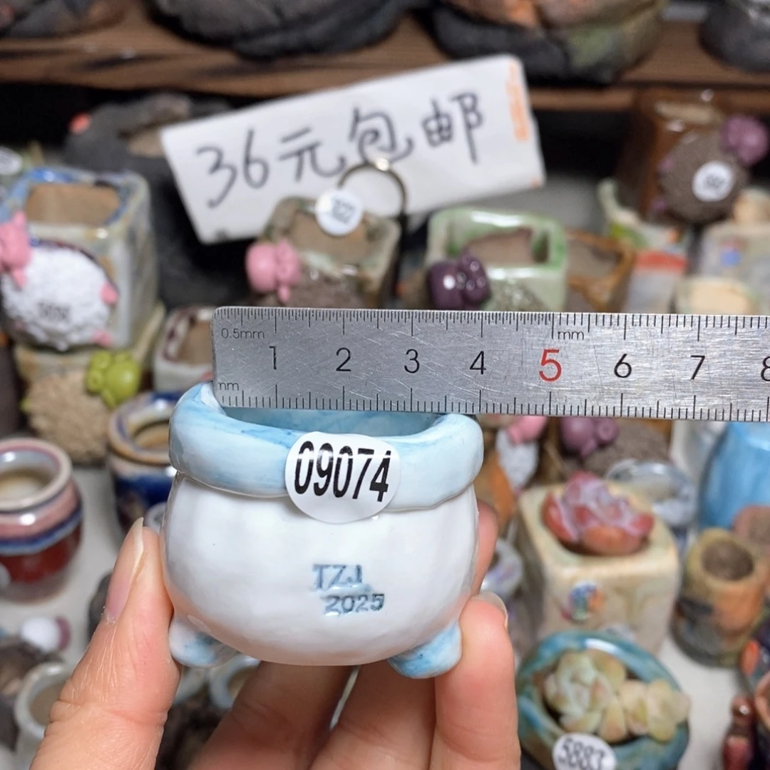 拍3送一个小礼物
