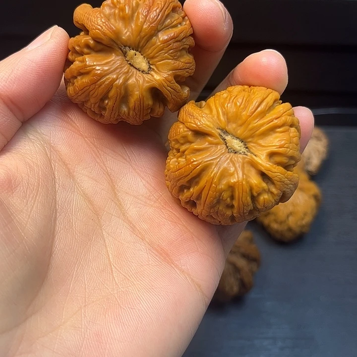 核桃突突突突突突兔兔3