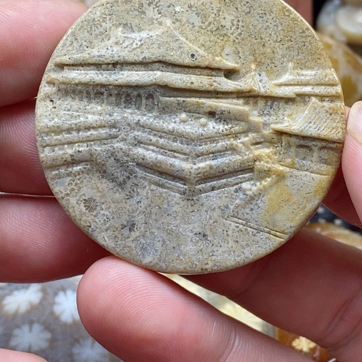 硅化珊瑚（珊瑚玉）颈饰未镶嵌
