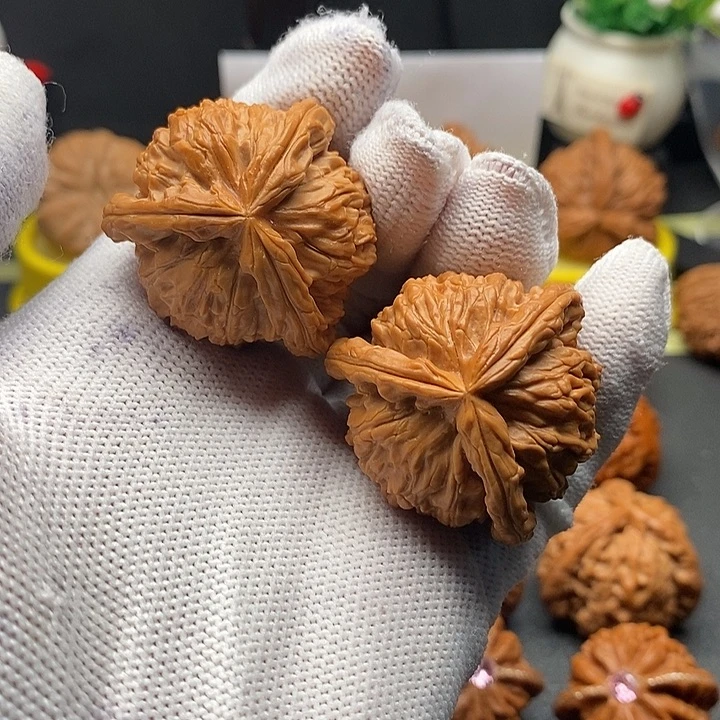 核桃36拼接白狮子