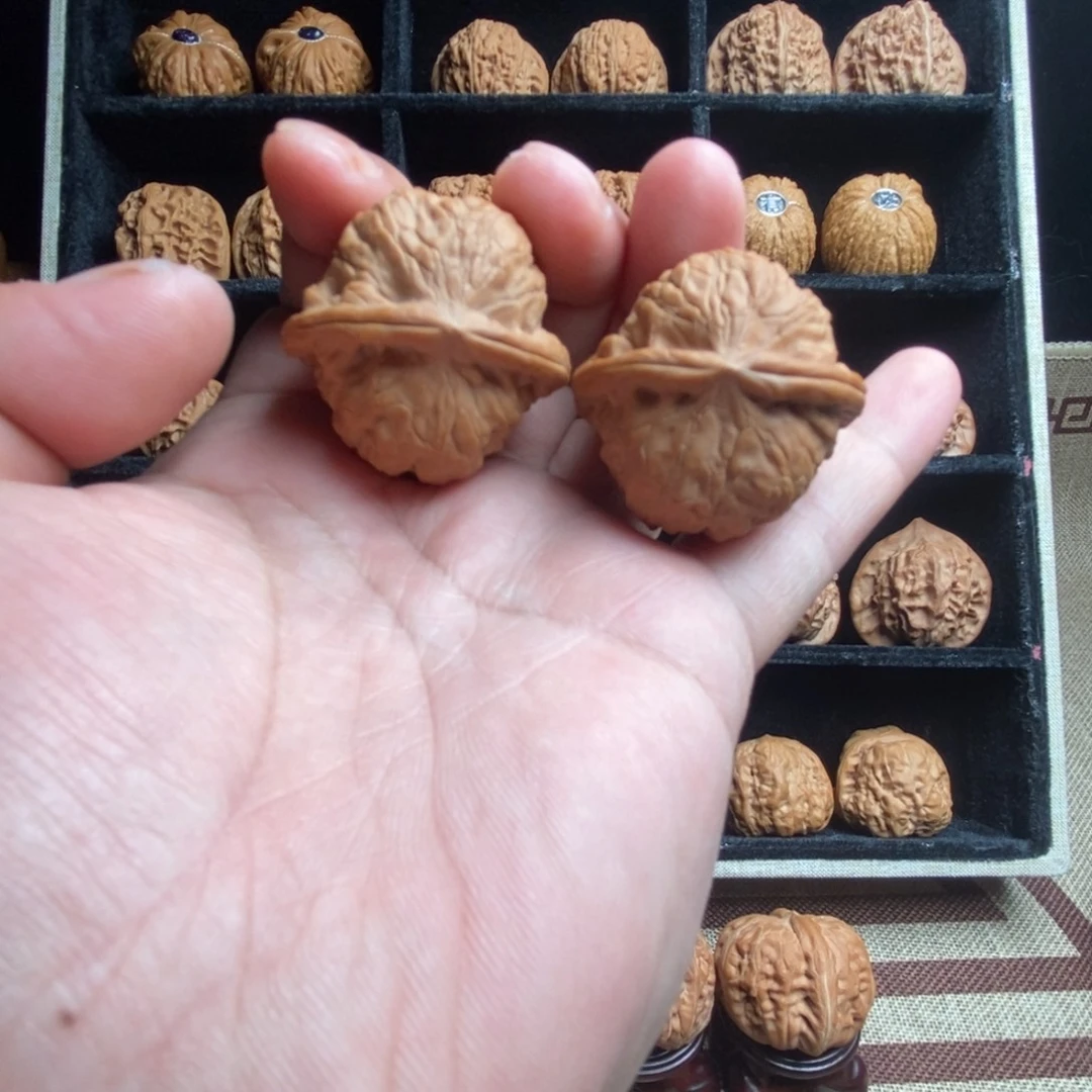 龙脊菩提吊坠全品平谷大枣38尺寸