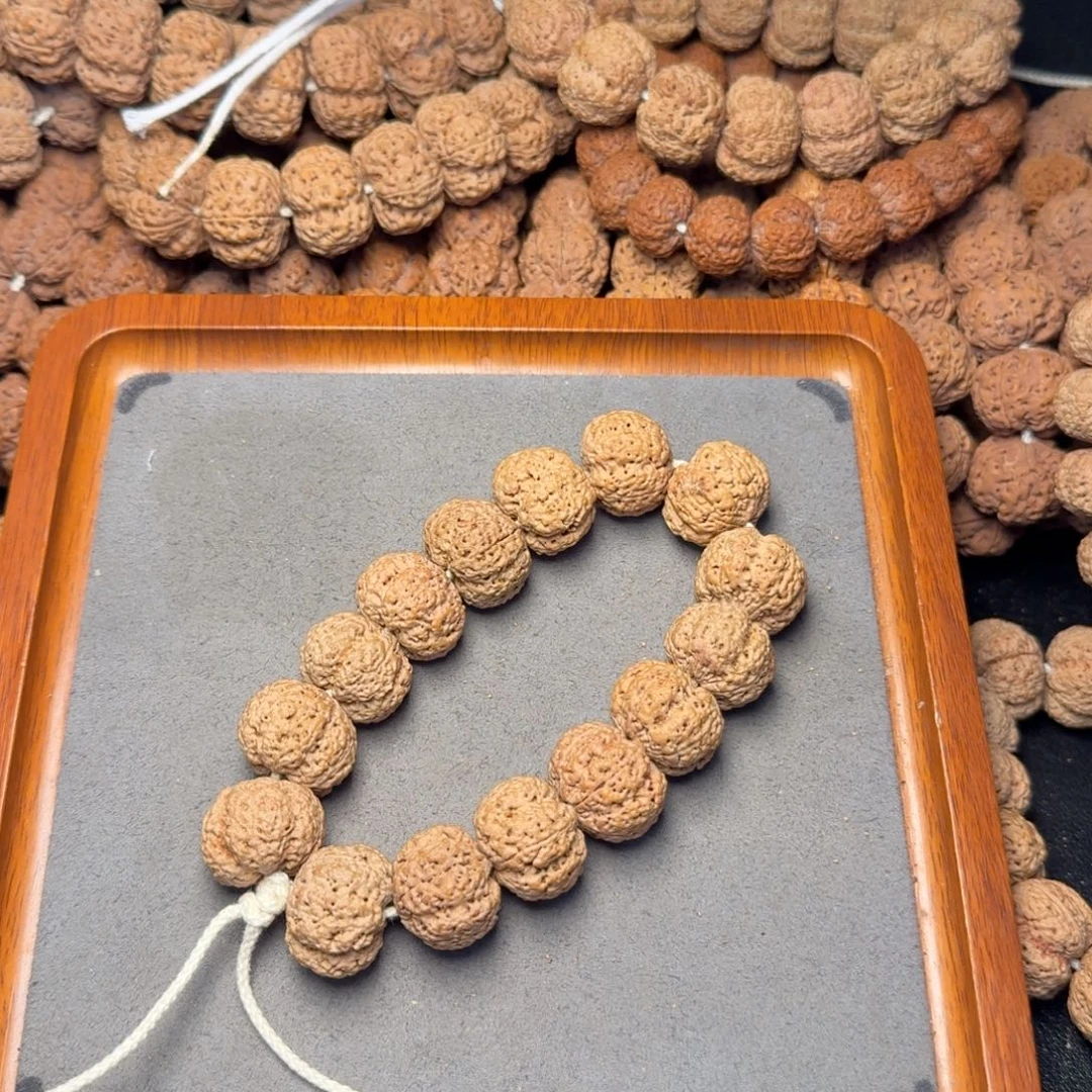 20号尼泊尔大金刚22五星熊猫菠萝蜜