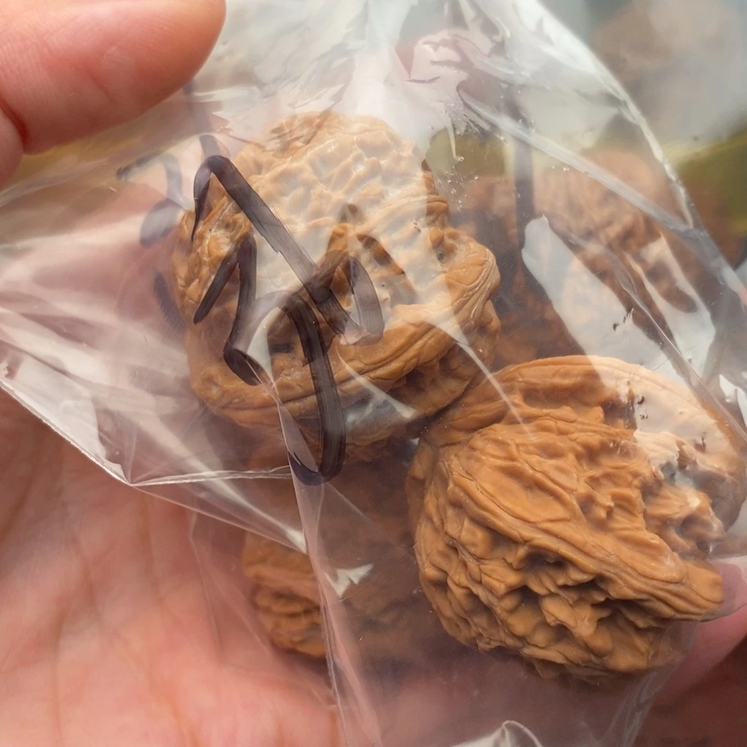 文玩核桃把件白狮36