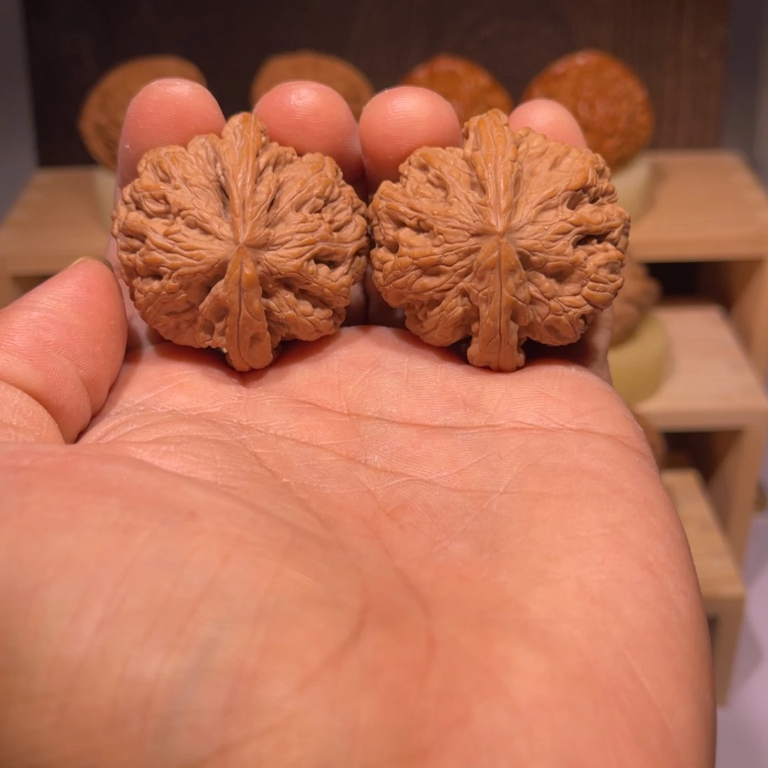 吊坠桃核42全品粗筋