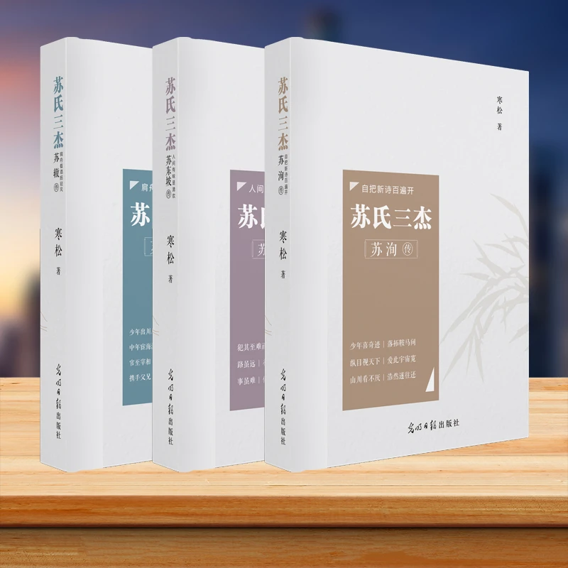 苏氏三杰【唐宋八大家苏家占三家】苏东坡传苏辙苏洵苏轼传宋朝宋