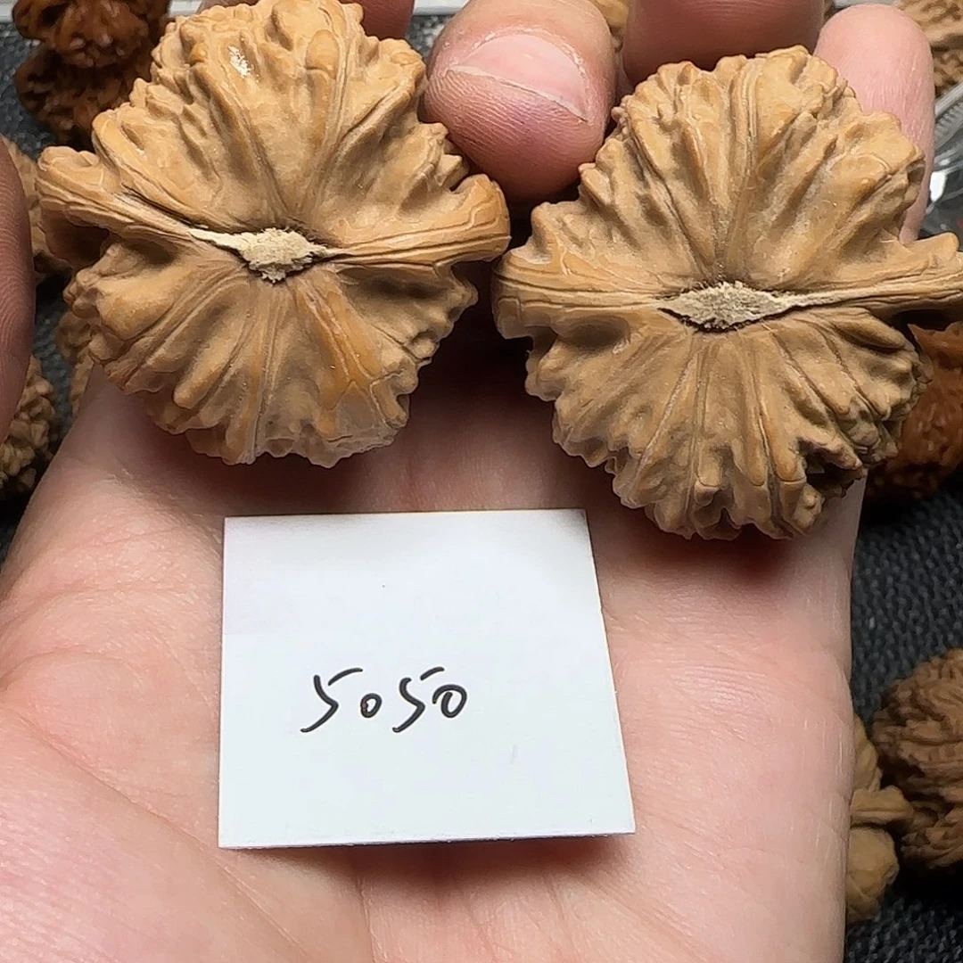 天***涯吊坠文玩核桃5050白狮子43尺