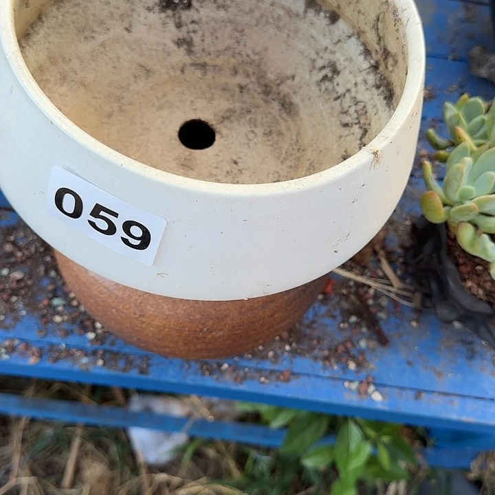 爱***狐059花盆一个一物一拍