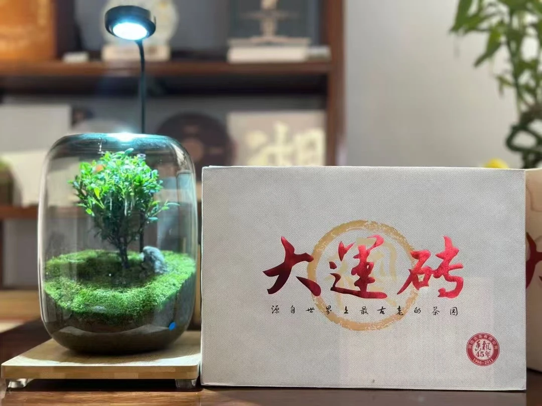 2011年大运砖 3000克 （易武纯古树料）