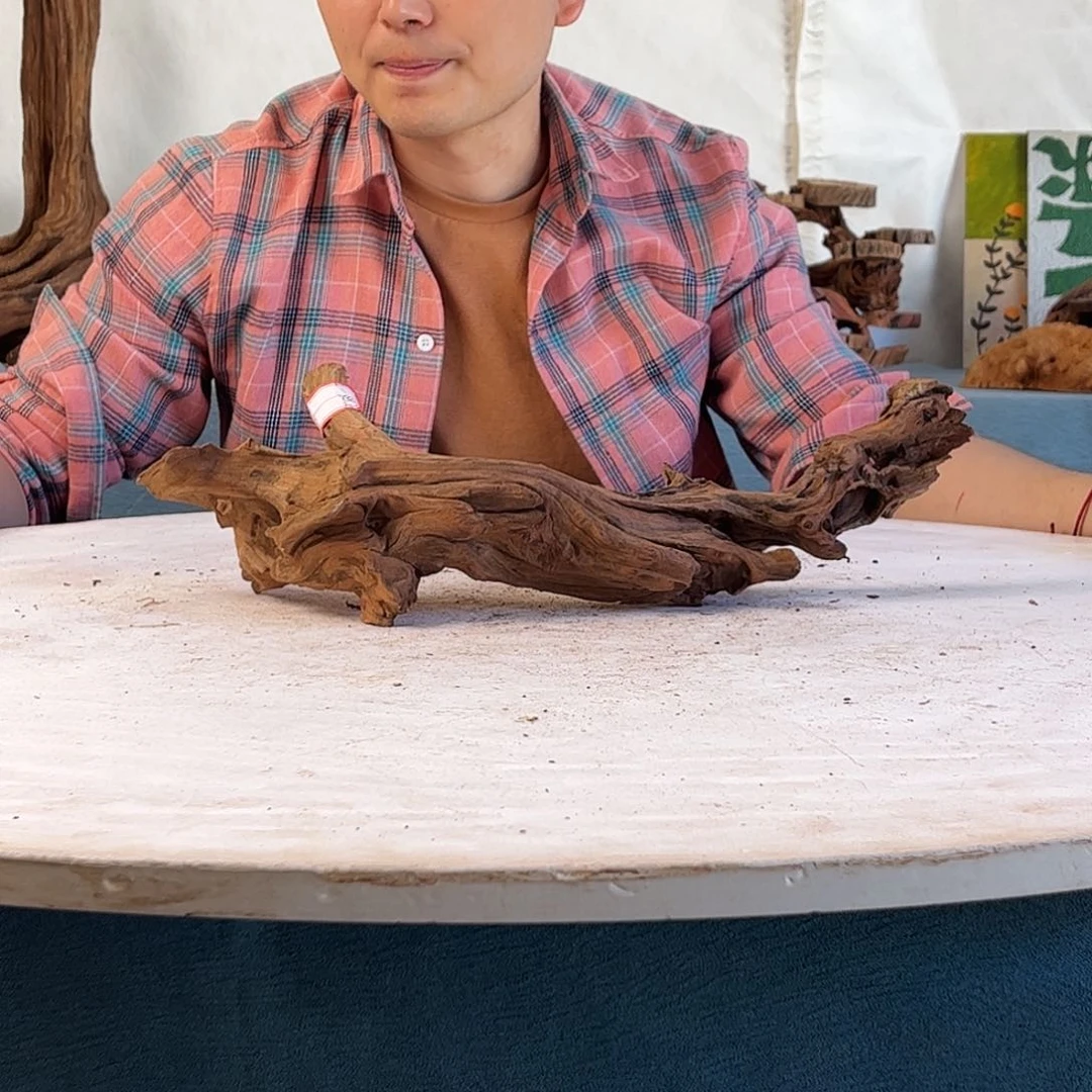 沉木造景寄居蟹景