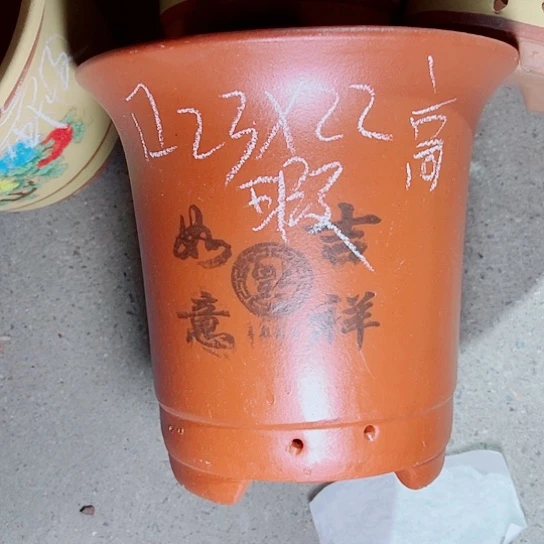 红陶紫砂紫砂这种