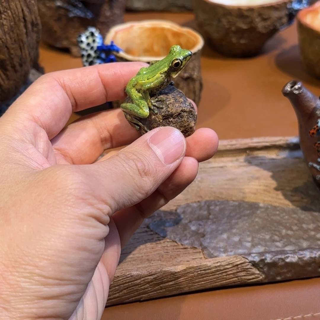 没*了共商国是的大哥电话电话和回电话的