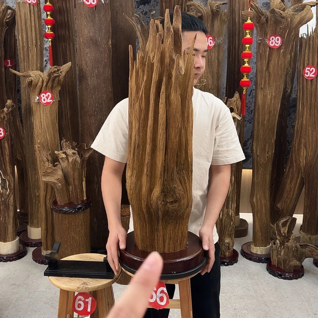 丁***沉香碎屑沉香天然沉香