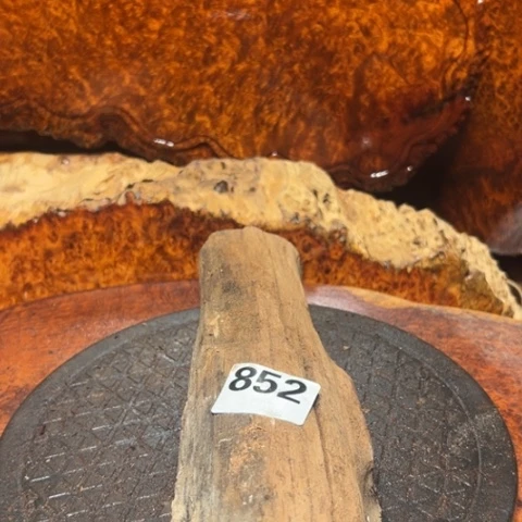 大果紫檀（缅甸花梨）